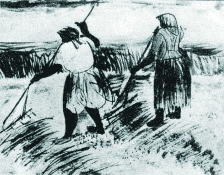 В полі. Фоторепродукція