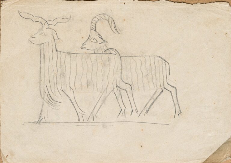 Гірські козли