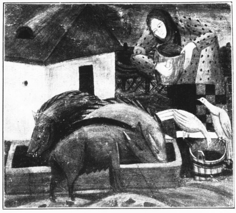 Годівля свиней